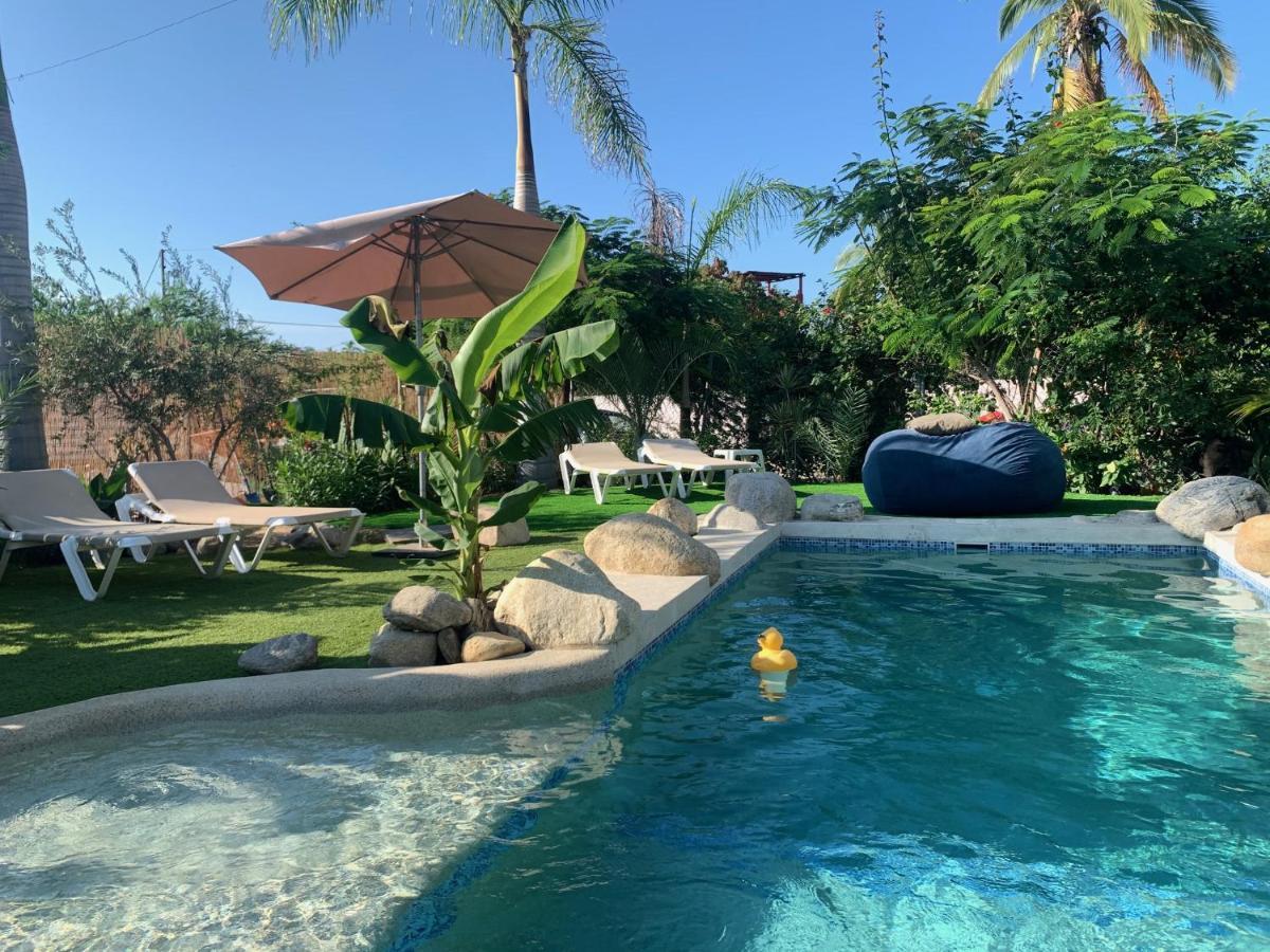 Tropical Oasis Property San Jose del Cabo Luaran gambar